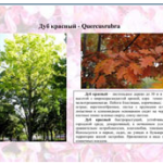 2013-08-10_194807